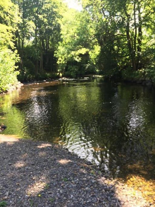Stunning 3 Bed Riverside Cabin In Snowdonia Caeathro Exteriér fotografie