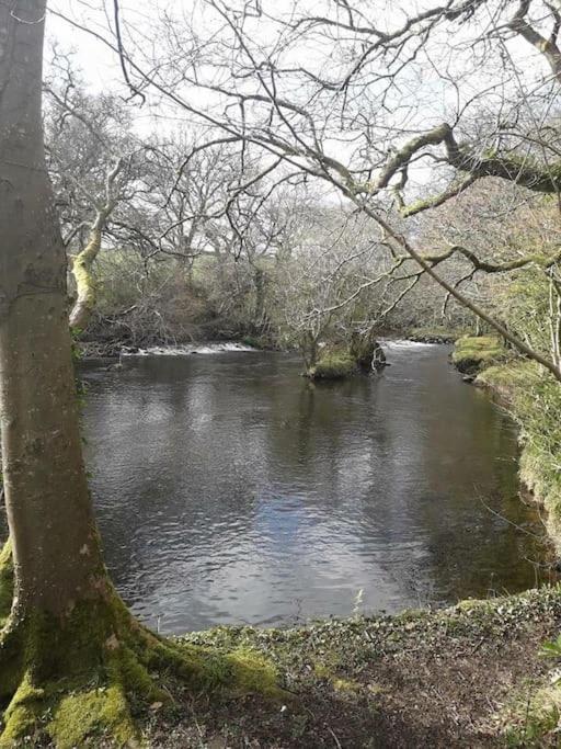 Stunning 3 Bed Riverside Cabin In Snowdonia Caeathro Exteriér fotografie